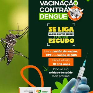 Vacinação contra a Dengue